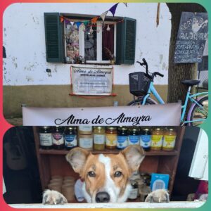 Alma de Almeyra-un estilo de vida