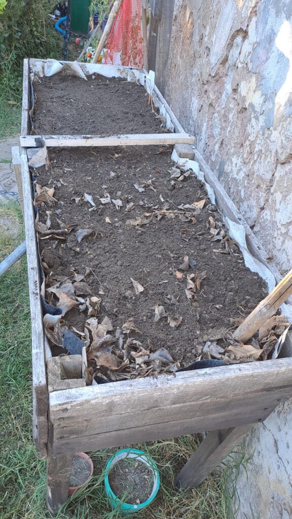 Cómo preparar la tierra para una huerta (paso a paso)